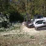 Tree Mulching- Canastota, NY