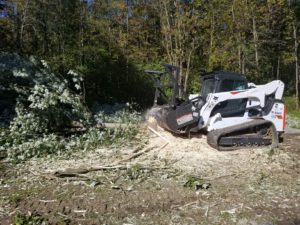 Tree Mulching- Canastota, NY