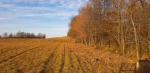 Field Widening- West Winfield, NY