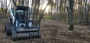 After Mulching- Pulaski, NY