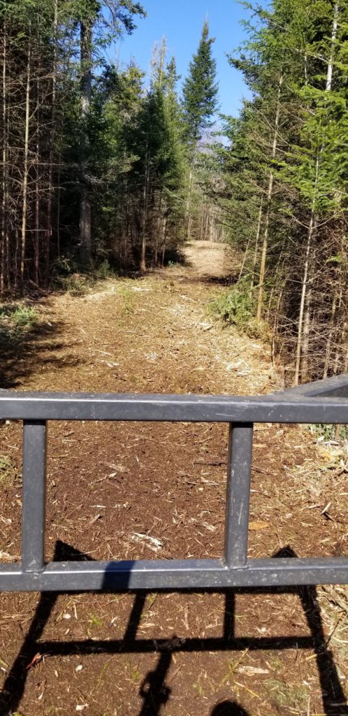 Trail Mulching- Hoffmeister, NY