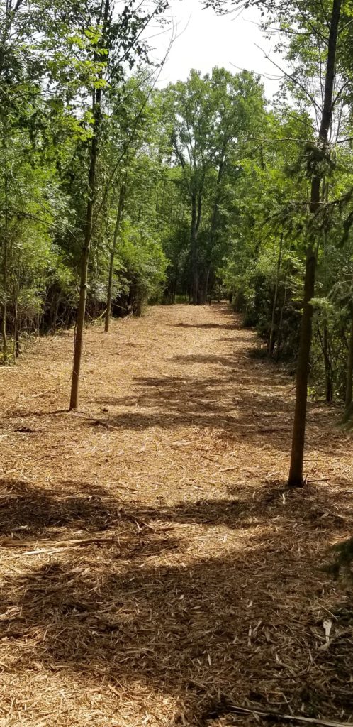Trail Mulching- Skaneateles, NY