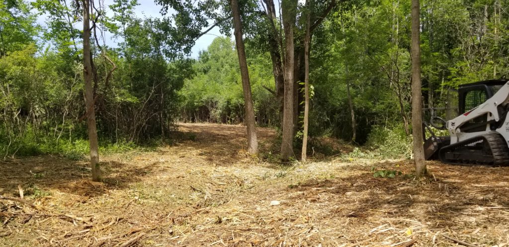 Lot & Trail Clearing- Skaneateles, NY