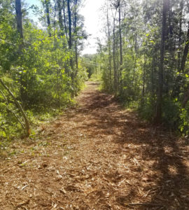 Trail Mulching- Cazenovia, NY