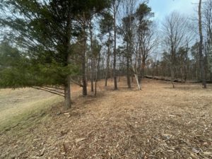 After Underbrushing- Copake, NY