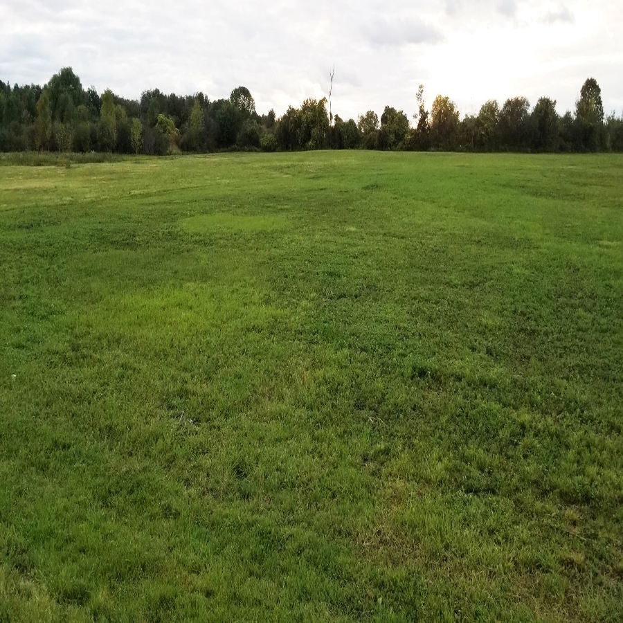 GUFM past project gallery