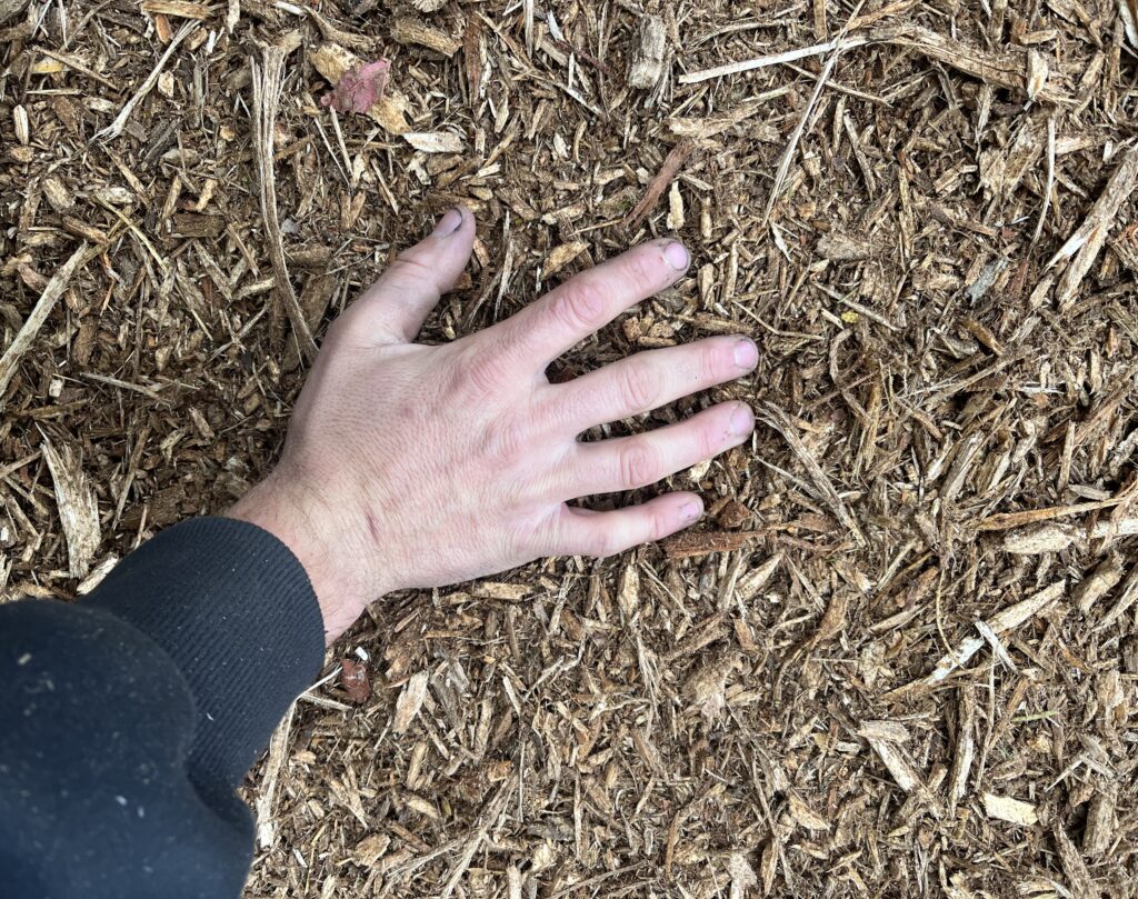 Hand in Mulch