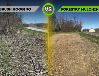 Forestry Mulching vs. Brush Hogging